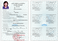 Những trường hợp lao động nước ngoài không thuộc diện cấp giấy phép lao động Những trường hợp lao động nước ngoài không thuộc diện cấp giấy phép lao động